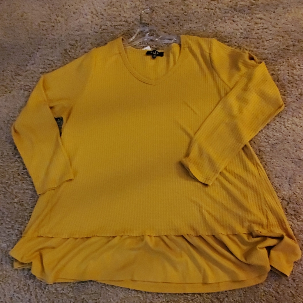 NWT Blue V neck top